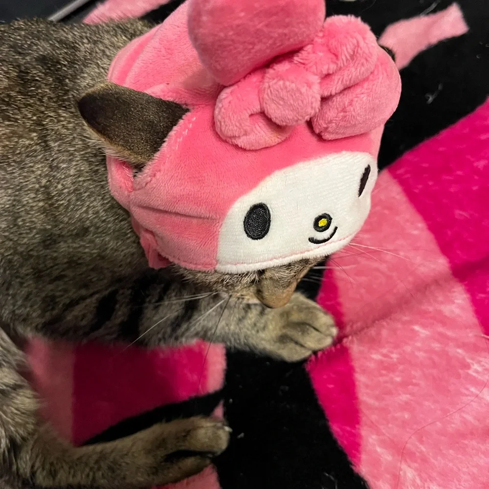 Sanrio Pink Cat Hat with Character Design